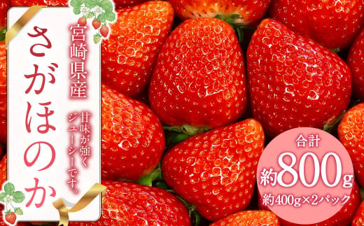 【2025年2月発送開始予定】さがほのか 約800g (約400g×2パック) いちご イチゴ 苺 フルーツ くだもの 果物 九州 宮崎 送料無料