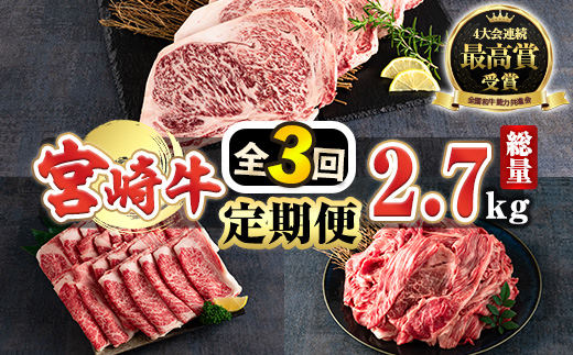 MI247 【定期便・全3回(連続)】《宮崎牛》ロースステーキ約1kg(約200g