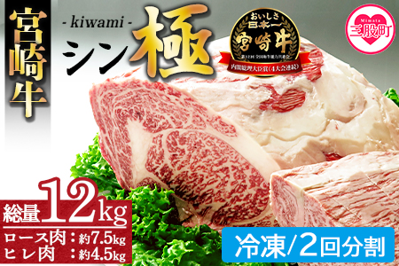 [宮崎牛『シン極(きわみ)』ロース肉約7.5kg、ヒレ肉約4.5kg (冷凍・2回分割)] 国産ブランド牛 黒毛和牛[MI019-nk-i-02][中村食肉]