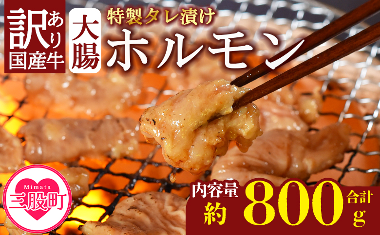 [[訳あり]国産牛ホルモン大腸(特製タレ漬け)計800g(400g×2袋)]大腸を秘伝の特製タレに漬け込みました![MI427-nk][中村食肉]