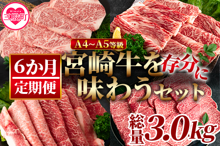 [[定期便6か月]宮崎牛を存分に味わうセット 総量3.0kg]柔らかくきめ細かい肉質と適度な霜降りの入った美味しい牛肉でステーキ、すき焼き、焼肉、BBQをご堪能下さい![MI231-nh][日本ハムマーケティング株式会社]