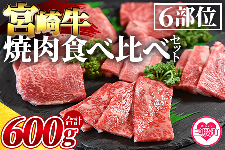 [3D冷凍宮崎牛焼肉食べ比べセット](合計600g)肩ロース、バラ、モモ、ウデ、ロース、ヒレ各100gずつ![MI089-my][ミヤチク]