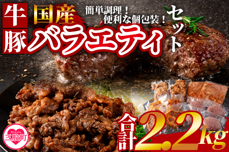 [簡単お肉おかず小分けバラエティーセット(牛・豚) 総量約2.2kg][国産][MI271-hr][肉の豊楽]