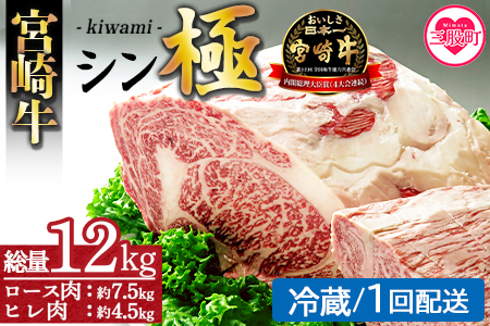 [宮崎牛『シン極(きわみ)』ロース肉約7.5kg、ヒレ肉約4.5kg (冷蔵・1回配送)] 国産ブランド牛 黒毛和牛[MI019-nk-c-01][中村食肉]