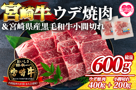 [宮崎牛ウデ焼肉と宮崎県産和牛小間切れ 総量600g][MI141-my][ミヤチク]