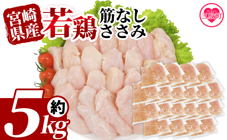 ＜宮崎県産若鶏筋なしささみ 約5kg＞ 国産 鶏 肉 精肉 ささみ ささみ肉 筋なし 使いやすい パック 真空冷凍 お弁当 惣菜 蒸し鶏 数量限定 鶏ささみ 鶏ササミ ササミ 鳥ささみ 鳥ササミ【MI513-tr】