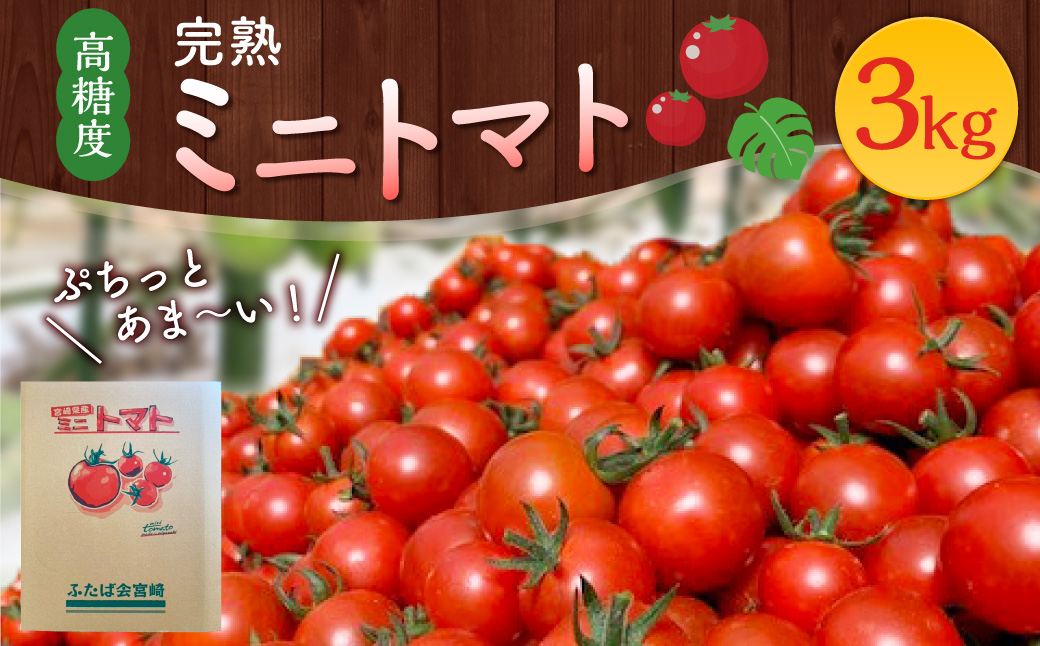 完熟ミニトマト」ミニトマト 3kg＞2023年11月上旬〜2024年5月下旬迄に