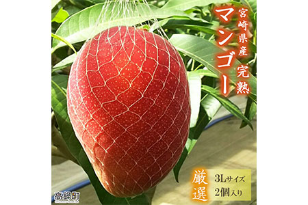 宮崎産　完熟マンゴー　9個　4kg
