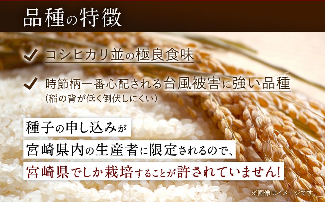 公式+セール/情報 令和5年 宮崎県産 新米 玄米20キロ 夏の笑み