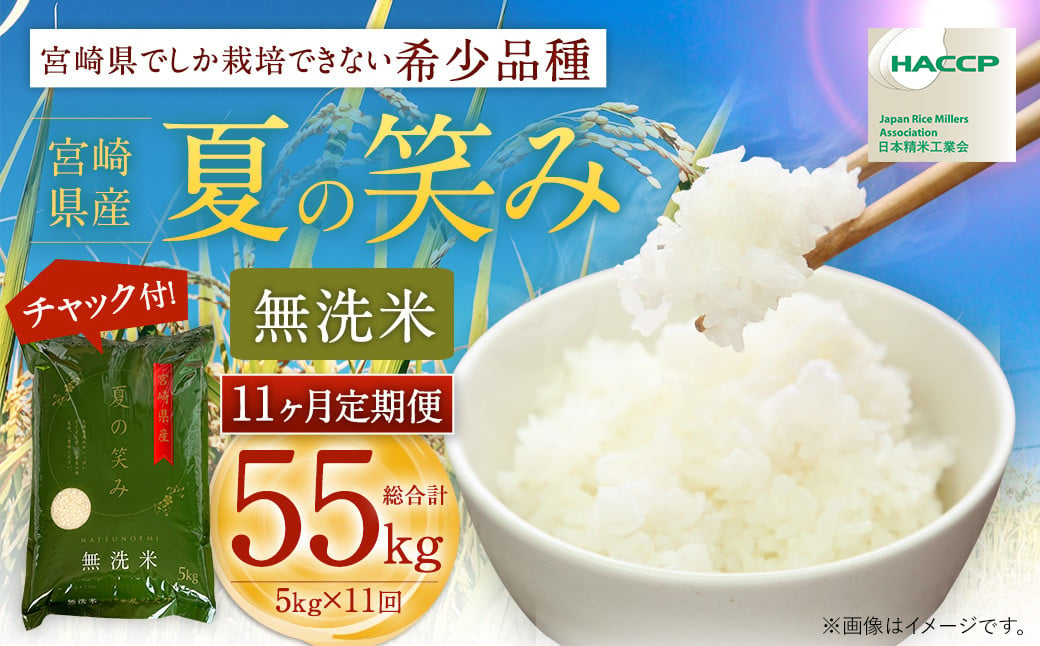 ＜【11ヶ月定期便】令和6年産 宮崎県産 夏の笑み（無洗米）5kg＞お申込みの翌月中旬以降に第1回目発送（8月は下旬頃） 米 夏の笑み 無洗米 精米 希少 品種 白米 お米 ご飯 宮崎県産