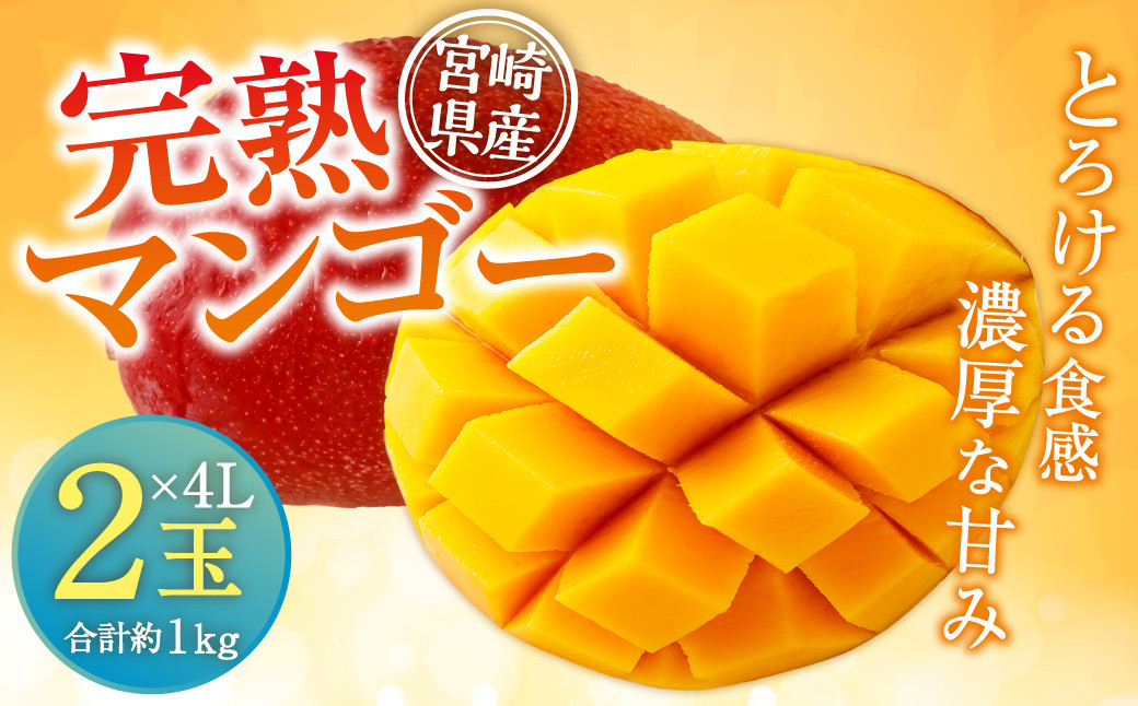 ＜宮崎県産 完熟マンゴー 4L×2玉(合計 約1kg)＞ ※2024年5月上旬〜7月中旬迄に順次出荷します。