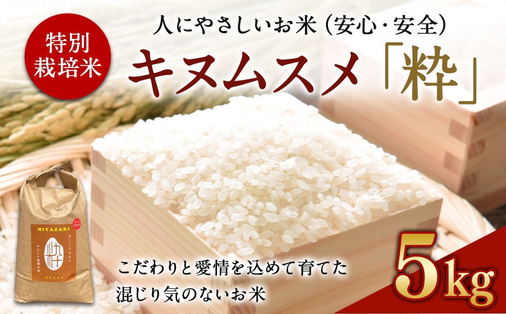 ＜令和6年度 特別栽培米「粋」キヌムスメ 5kg＞※入金確認後、翌月末迄に順次出荷します。