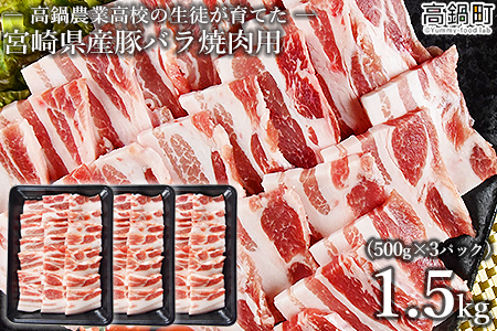 ＜高鍋農業高校 生徒が育てた宮崎県産豚バラ焼肉用500g×3＞翌月末迄に順次出荷
