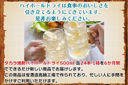 呑んべえ 6か月定期便（タカラ 焼酎ハイボール ドライ 500ml×24本