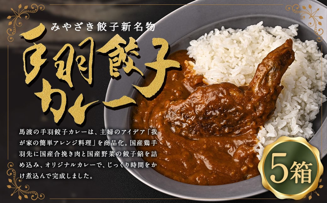 [ みやざき餃子新名物 手羽餃子カレー 5箱 ]翌月末迄に順次出荷 カレー 餃子 ギョウザ ギョーザ 手羽餃子 レトルト 常温保存 餃子の馬渡