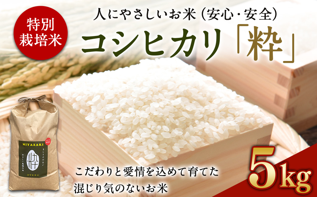 ＜令和6年度 特別栽培米「粋」コシヒカリ 5kg＞ ※入金確認後、翌月末迄に順次出荷します。 米 こしひかり