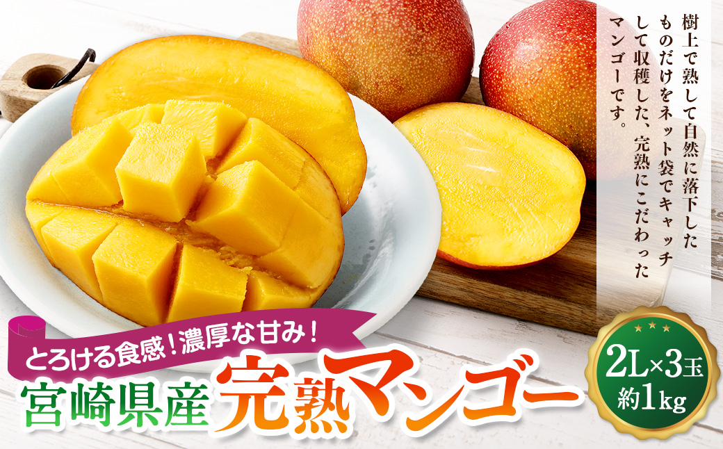 ＜宮崎県産完熟マンゴー 2L×3玉（約1kg）＞2025年4月中旬〜7月下旬までに順次出荷