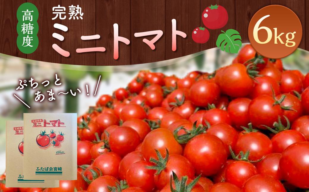 完熟ミニトマト」ミニトマト 6kg＞2023年11月上旬〜2024年5月下旬迄に