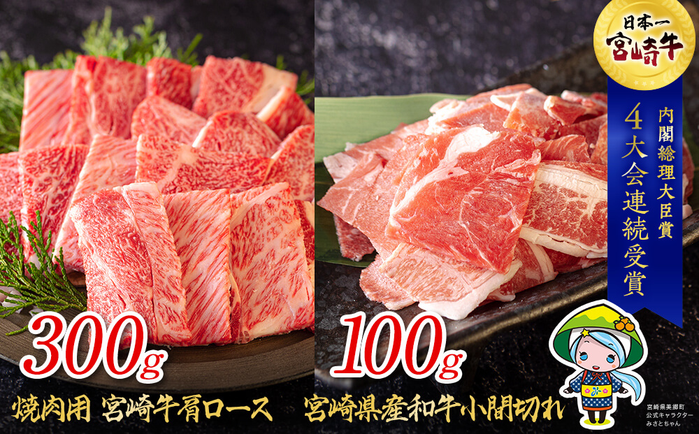 ふるさと納税 宮崎牛 牛肉 ヒレ フィレ ヘレ ブロック 500g 希少部位