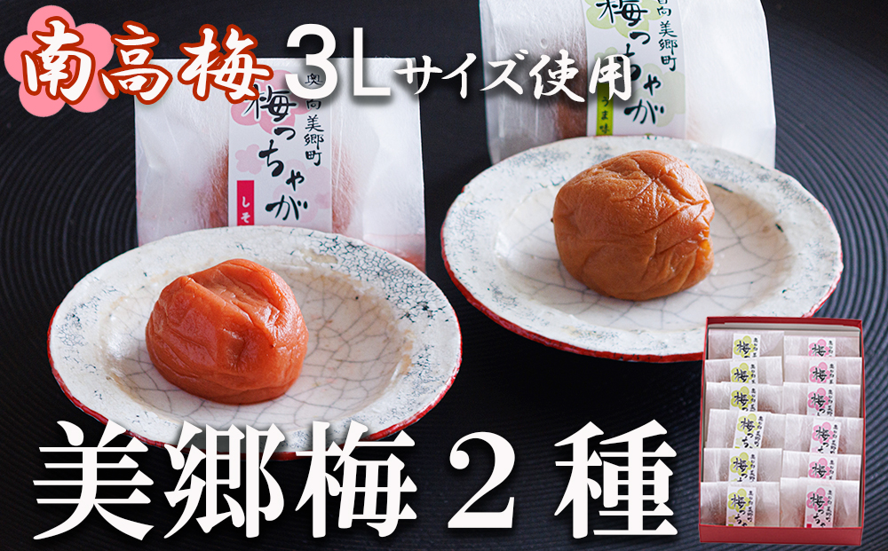 南高梅 梅干し 美郷梅 化粧箱入り 昆布 シソ風味 一粒入り 各6粒ずつ ３Lサイズ A級品 国産 セット 詰め合わせ 宮崎県産 美郷産 常温 送料無料 贈答品 父の日 母の日 プレゼント ギフト