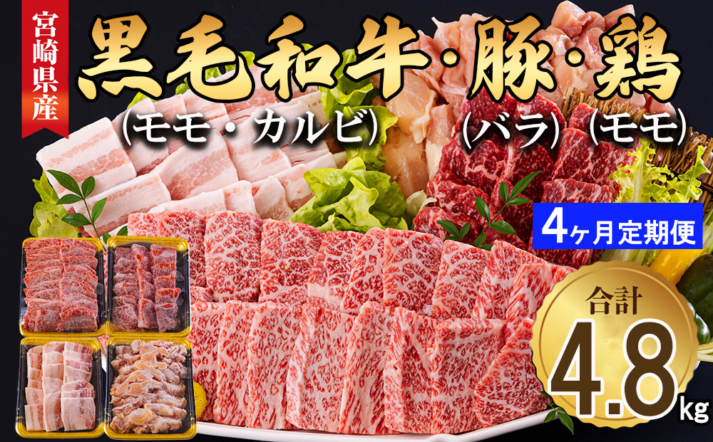 4回 定期便 宮崎県産 焼肉 セット 黒毛和牛 モモ カルビ 豚バラ 若鶏 モモ 合計4.8kg 各300g [サンアグリフーズ 宮崎県 美郷町 31ba0037] 小分け 冷凍 送料無料 国産 BBQ バーベキュー キャンプ 普段使い 炒め物 丼 カット 詰め合わせ 経産牛