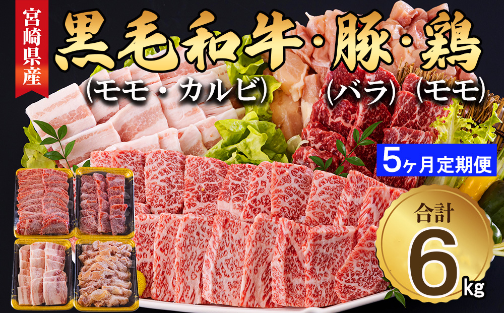 【5ヶ月定期便】 宮崎県産 焼肉 セット 黒毛和牛 モモ カルビ 豚バラ 若鶏 モモ 合計6kg 各300g 小分け 冷凍 送料無料 国産 BBQ バーベキュー キャンプ 普段使い 炒め物 丼 カット 詰め合わせ 経産牛