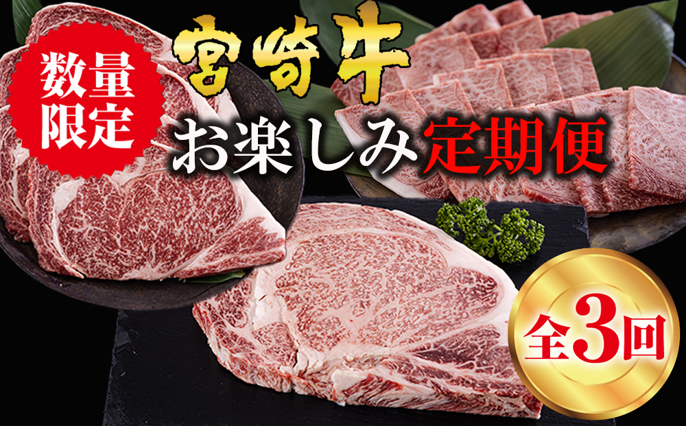 ３回定期便】 宮崎牛 ロースステーキ 600g 肩焼肉 400g ワンポンド