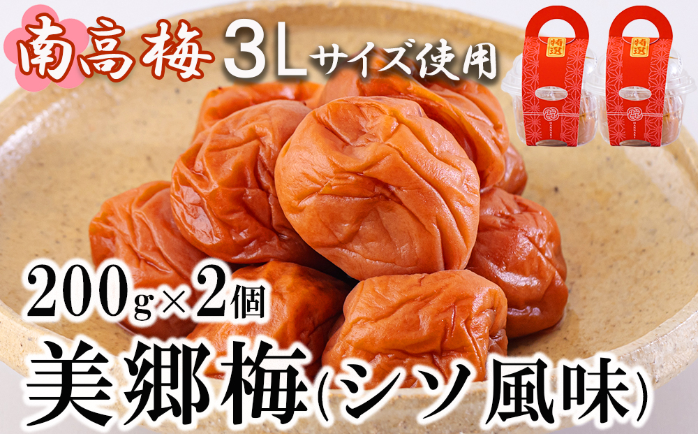 南高梅 梅干し 美郷梅 シソ風味 200g×2 ３Lサイズ 塩分控えめ A級品 国産 宮崎県産 美郷産 常温 送料無料 贈答品 父の日 母の日 プレゼント ギフト 紫蘇