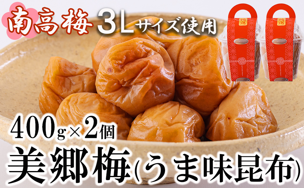 南高梅 梅干し 美郷梅 昆布 400g×2個 ３Lサイズ 塩分控えめ A級品 国産 宮崎県産 美郷産 常温 送料無料 贈答品 父の日 母の日 プレゼント ギフト