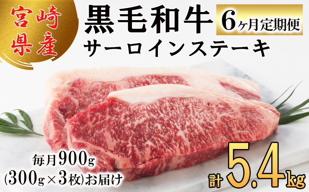 【６回定期便】 宮崎県産 黒毛和牛 サーロイン ステーキ 300g ×3×6ヶ月 合計5.4kg 小分け 冷凍 送料無料 国産 牛 肉 霜降り BBQ バーベキュー キャンプ 真空包装 スペース 収納 サシ がっつり 脂