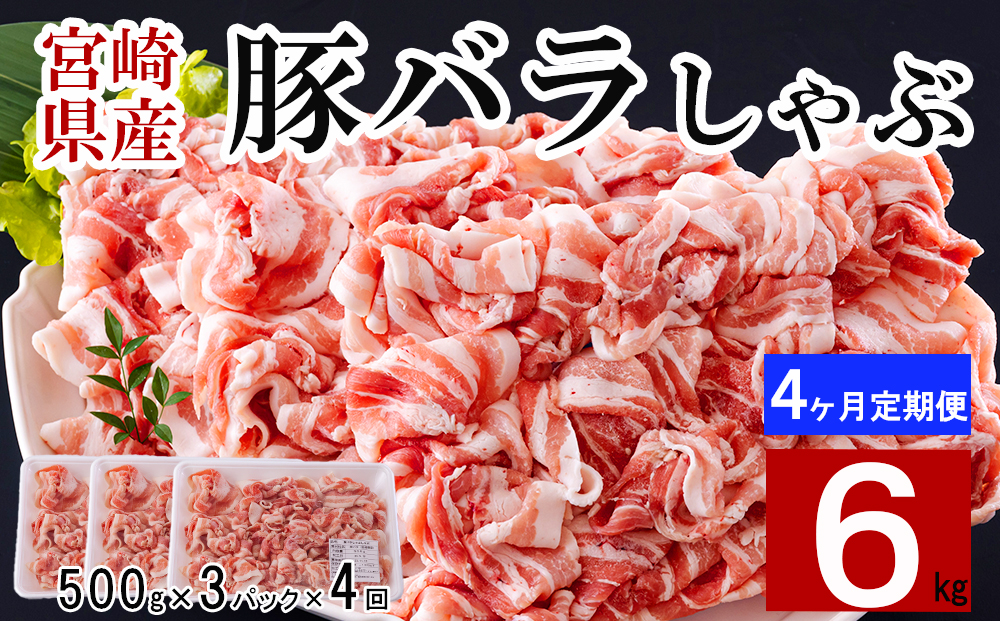 【４ヶ月定期便】 宮崎県産 豚バラ しゃぶしゃぶ 切落し 合計6kg 500g×3パック 小分け 冷凍 送料無料 国産 普段使い 炒め物 丼 切り落とし 薄切り うす切り セット 冷しゃぶ サラダ 野菜巻き 肉巻き ミルフィーユ 鍋 ソテー スープ 汁 餡かけ