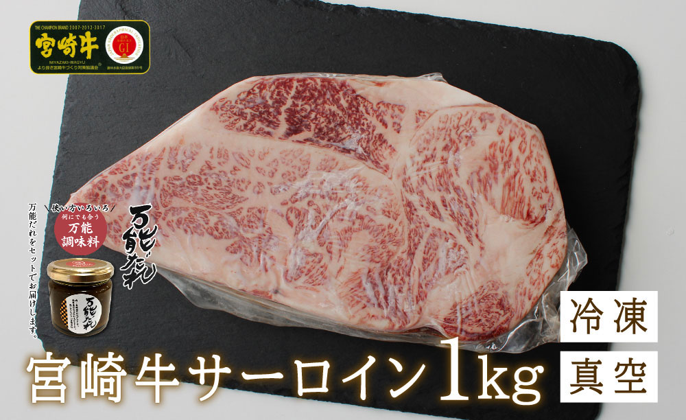 S-16 宮崎牛 サーロインブロック1kg 万能だれ付き