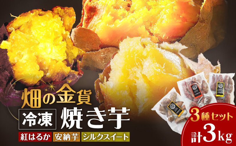 畑の金貨 焼き芋3種セット 3kg　K181-001_04