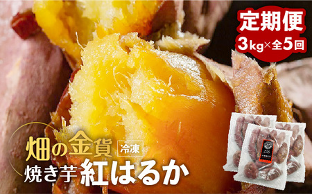 【全5回】【畑の金貨】焼き芋紅はるか3kg 定期便　K181-T02