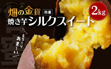 畑の金貨 焼き芋シルクスイート2kg　K181-005_03