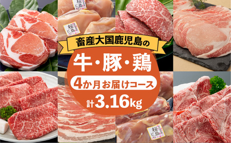 [岩元精肉店]鹿児島県産精肉 厳選4か月お届けコース K045-T04