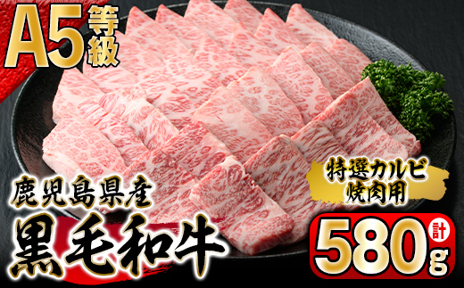 【新型コロナ被害支援】鹿児島県産黒毛和牛A-5特選カルビ焼肉　580g入