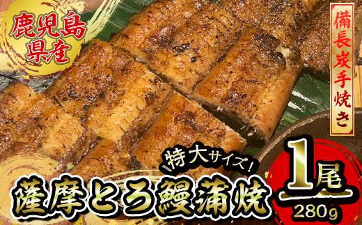 [江口商店監修]薩摩とろ鰻白焼特大サイズ一尾 280g