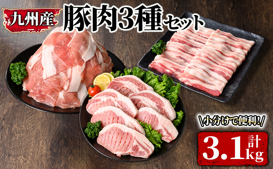 小分け・真空パック!九州産豚肉3.1kg 3種セット