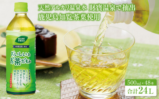 財宝のおいしい お茶 500ml × 48本 すっきりした 味わいの 緑茶 ペットボトル
