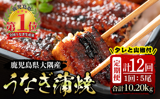 【定期便12回】大隅特産うなぎ蒲焼５尾（850g）【国産】