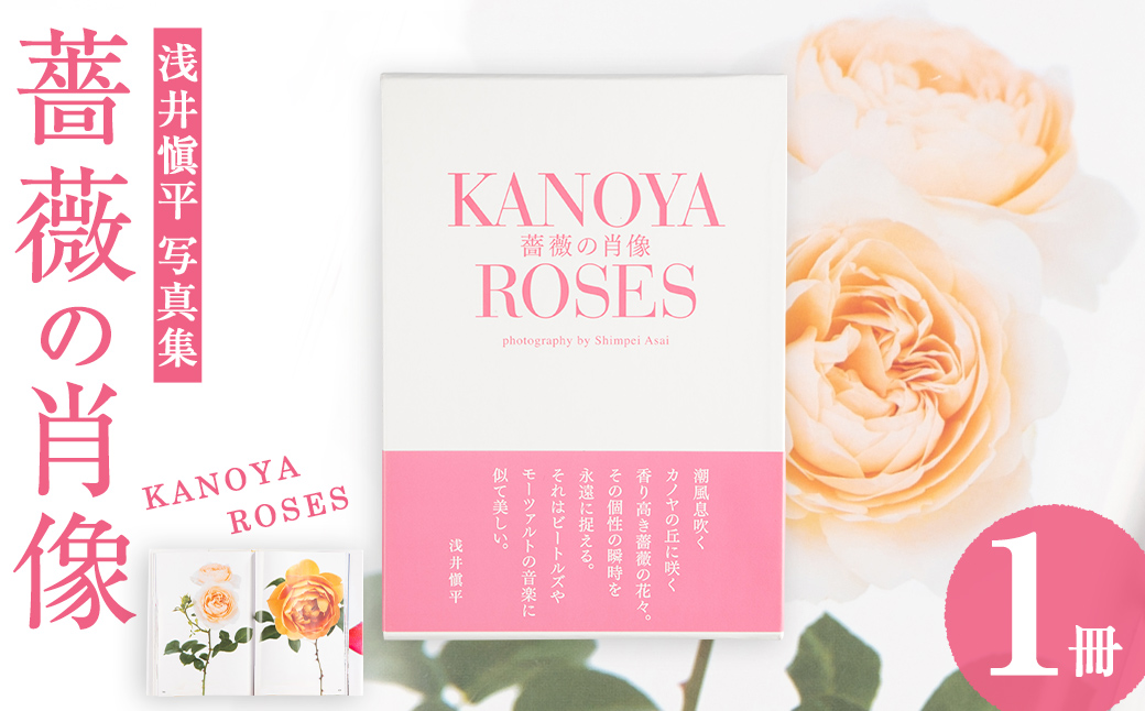 浅井愼平写真集 薔薇の肖像 KANOYA ROSES