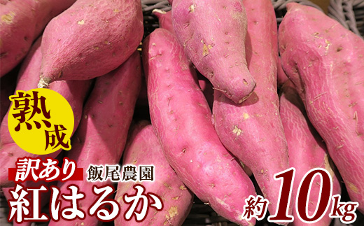 《 訳あり 》飯尾農園 紅はるか  約10kg 芋 いも さつまいも サツマイモ 鹿児島県産 国産 長島町産 べにはるか 熟成【飯尾農園】miio-6125