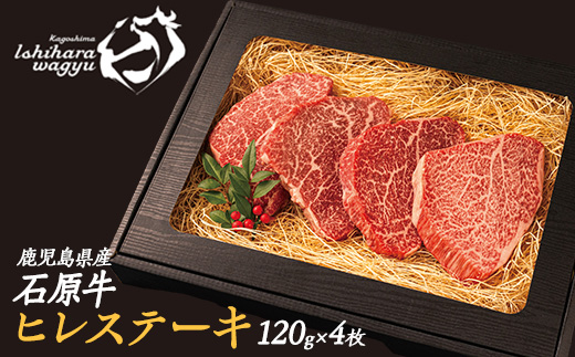 石原牛のヒレステーキ(120g×4) (数量限定)石原牛 赤身 ヒレ ステーキ 480g 国産 牛 ウシ 牛肉 焼肉 BBQ バーベキュー ビーフ 冷凍【石原PRO】_ishihara-1346