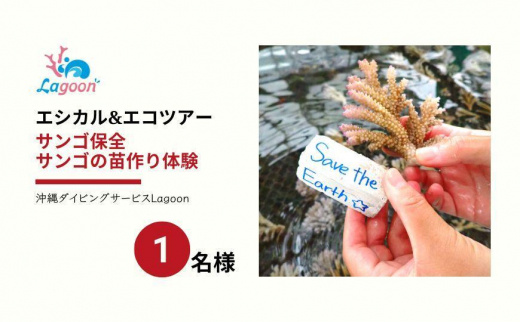 チケット サンゴ苗作り体験 ｜ 沖縄サンゴの村【恩納村ラグーン】