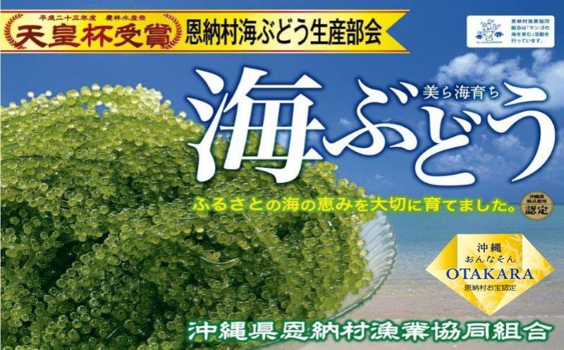 恩納村産 生海ぶどう １kg｜配送時期：4月〜10月（8月〜9月上旬は除く