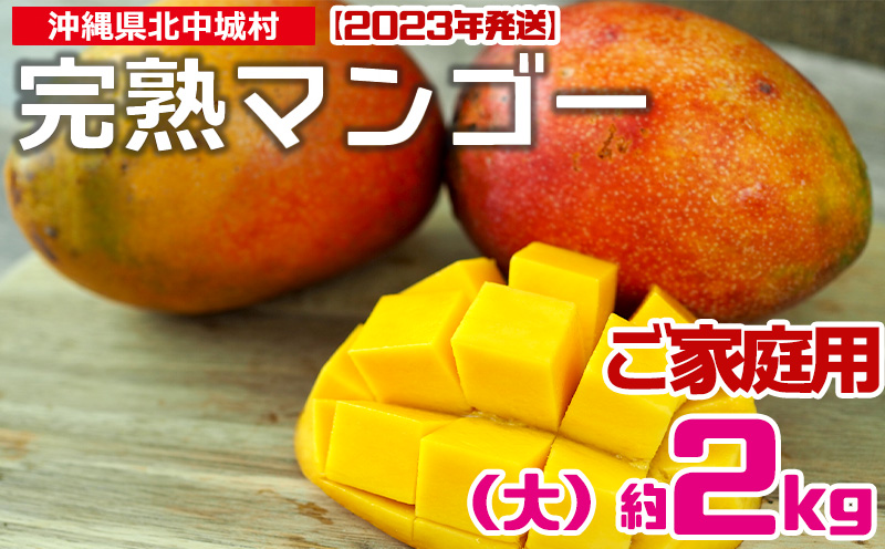 最新 沖縄県産マンゴー 2.4.kg i9tmg.com.br