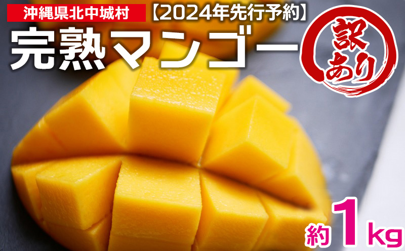 2024年発送】訳あり品！沖縄県北中城村 完熟マンゴー約1kg【先行予約