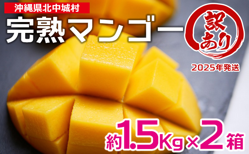 【2025年発送】訳あり品！沖縄県北中城村　完熟マンゴー　約1.5kg×2箱 北中城村 先行予約 訳あり 訳アリ フルーツ 果物 くだもの アップルマンゴー アーウィン種 冷蔵 JA 家庭用 お試し 美味しい 沖縄 生産者応援 フードロス 人気 おすすめ お取り寄せ