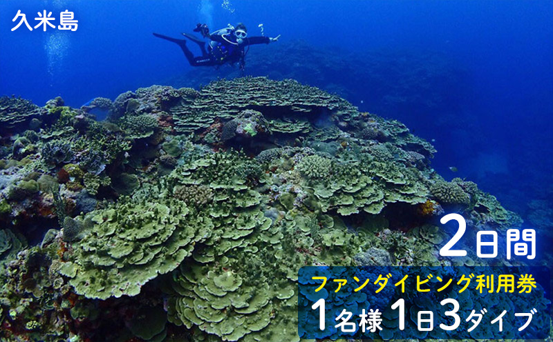 久米島ファンダイビング利用券1名様　1日3ダイブ×2日間 ダイビング ファンダイブ ダイビングスポット ダイバー ウミガメ マンタ 熱帯魚 サンゴ礁 マリン アクティビティ 水中 潜水 ライセンス バディ 潜る 沖縄 久米島 海 海洋生物 スキューバ